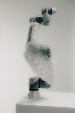 Leon Laskowski Fotografie