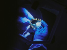 Leon Laskowski Fotografie