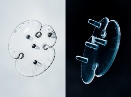 Leon Laskowski Fotografie