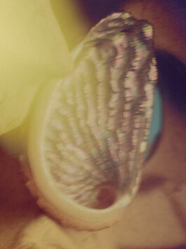 Leon Laskowski Fotografie