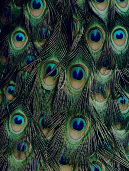 Leon Laskowski Fotografie