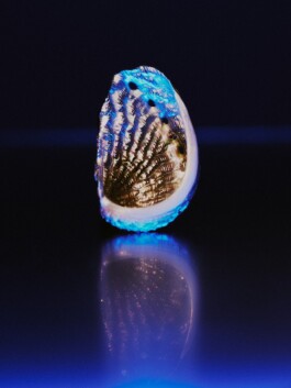 Leon Laskowski Fotografie