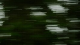 Leon Laskowski Fotografie