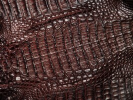 Leon Laskowski Fotografie