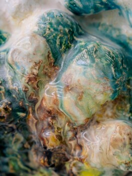 Leon Laskowski Fotografie