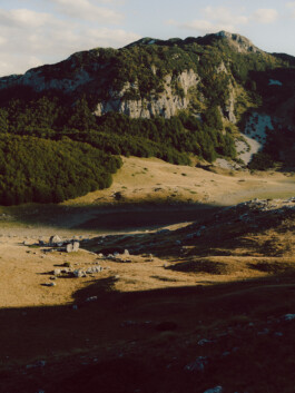 Leon Laskowski Fotografie