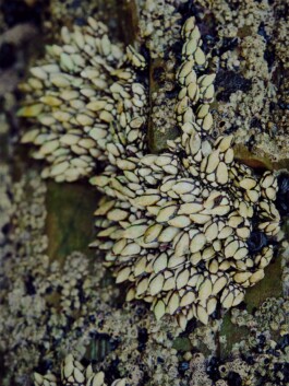 Leon Laskowski Fotografie